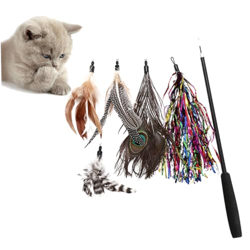 Warmhm 6 Stück Interaktive Katzenangel mit und Pearl Spielzeug für Katzen Verstellbarer Katzenspaß Fördert Bewegung Warmhm 6 Stück Interaktive Katzenangel mit und Pearl Spielzeug für Katzen Verstellbarer Katzenspaß Fördert Bewegung von Warmhm