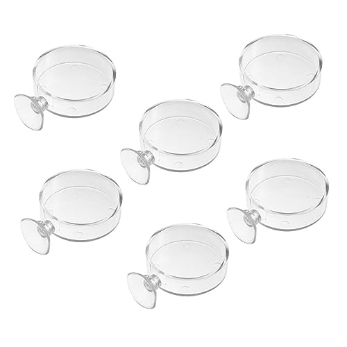 Warmhm 6Stücke Teiliges Fischfutterhalter mit Saugbechern Praktische Futterschale für Aquarien und Garnelenbecken Robust Reinigen für Einfache Fütterung Warmhm 6Stücke Teiliges Fischfutterhalter mit Saugbechern Praktische Futterschale für Aquarien und Garnelenbecken Robust Reinigen für Einfache Fütterung von Warmhm