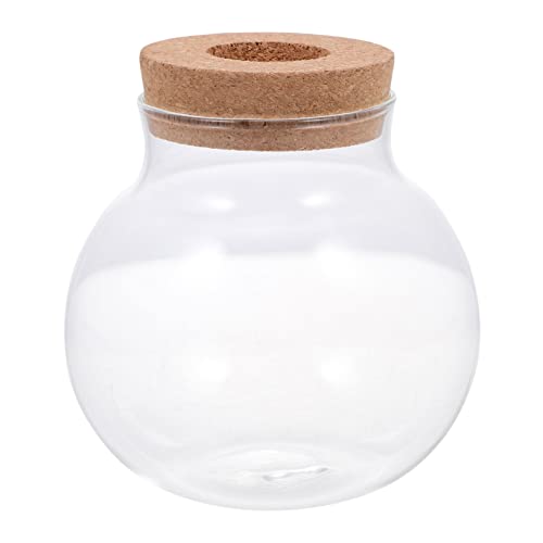 Warmhm Aquarium Moospflanzenflasche - Eleganter Pflanzenhalter Für Tisch-Sukkulenten Mini Fischschalen Und Stilvolle Schreibtisch Dekoration Aus Hochwertigem Glas Ideal Für Kreative von Warmhm