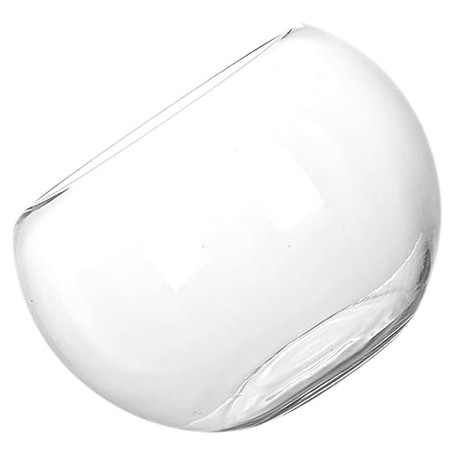 Warmhm Fischbecken Aus Glas Blumenarrangements Als Tafelaufsatz Schale Glasvase Sukkulenten-übertopf Glas Herzstück des Pflanzgefäßes Glas Vase Kugel Büro Schreibtisch Gewöhnliches Glas Warmhm Fischbecken Aus Glas Blumenarrangements Als Tafelaufsatz Schale Glasvase Sukkulenten-übertopf Glas Herzstück des Pflanzgefäßes Glas Vase Kugel Büro Schreibtisch Gewöhnliches Glas von Warmhm