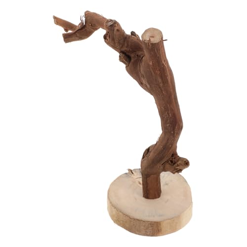 Warmhm Papageienständer Aus Holz Für Tisch Und Vogelkäfig Vogel-trainingsständer Mit Sockel Papagei Spielzeug Für Interaktives Training Und Sitzen von Warmhm