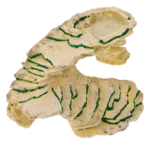 Warmhm Reptilienharzunterkunft Schildkrötenbasking für Aquarien Lebendige Simulation Kletterfreundlich Langlebiges Material für Terrarien und Reptilienhabitate von Warmhm