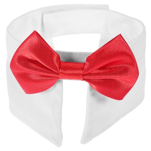 Warmhm Haustierhalsband Mit Fliege Verstellbar Für Katzen Leicht Tragbar Für Alltag Feiertage Und Festivals Warmhm Haustierhalsband Mit Fliege Verstellbar Für Katzen Leicht Tragbar Für Alltag Feiertage Und Festivals von Warmhm