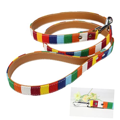 Warmhm Welpenhalsband Kleine Hundeleine Welpenhalsbänder Leine Für Welpen Haustier-Trainingsleine Hundetraining Haustier-Training Regenbogen-Leine Gürtel Heimtierbedarf Leinen von Warmhm