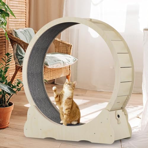 Katzen-Laufrad für Indoor-Katzen, Katzenlaufrad mit TPE Silent Roller, Katzen-Laufbandrad, Katzen-Drehrad Gewichtsverlustgerät mit austauschbaren Pads, Naturholz von Warmyou