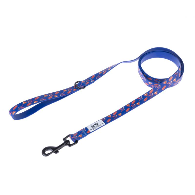 Hundeleine DC Superman - 200 cm lang, 20 mm breit von Warner Bros