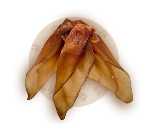 Hundesnack | Kausnack für Hunde | Rinderohren Kingsize | mit Muschel in XXL (100 Stück) von Warnick´s Tierfutterservice