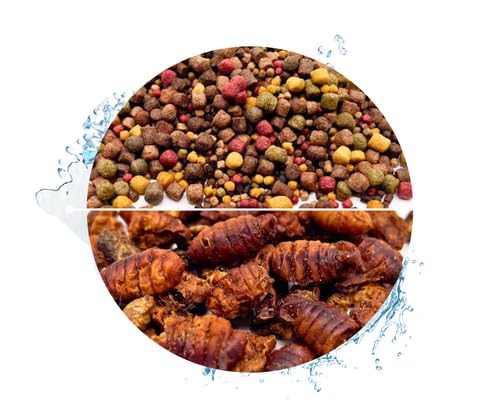 Warnick's Koifutter 5-Sorten-Mix mit Spirulina - 15 L, 3-6 mm mit 1 L Seidenraupen - Fischfutter für Koi & Zierfrische - schwimmfähig & gut verdaulich von Warnick´s Tierfutterservice
