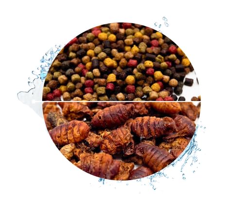 Warnick's Koifutter 5-Sorten-Mix mit Spirulina - 15 L, 3 mm mit 1 L Seidenraupen - Fischfutter für Koi & Zierfrische - schwimmfähig & gut verdaulich von Warnick´s Tierfutterservice