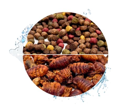 Warnick's Koifutter 5-Sorten-Mix mit Spirulina - 15 L, 6 mm mit 1 L Seidenraupen - Fischfutter für Koi & Zierfrische - schwimmfähig & gut verdaulich Warnick's Koifutter 5-Sorten-Mix mit Spirulina - 15 L, 6 mm mit 1 L Seidenraupen - Fischfutter für Koi & Zierfrische - schwimmfähig & gut verdaulich von Warnick´s Tierfutterservice