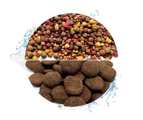 Warnick's Koifutter 5-Sorten-Mix mit Spirulina - 15 kg, 3-6 mm mit 1 kg Hanzam - Fischfutter für Koi & Zierfrische - schwimmfähig & gut verdaulich Warnick's Koifutter 5-Sorten-Mix mit Spirulina - 15 kg, 3-6 mm mit 1 kg Hanzam - Fischfutter für Koi & Zierfrische - schwimmfähig & gut verdaulich von Warnick´s Tierfutterservice