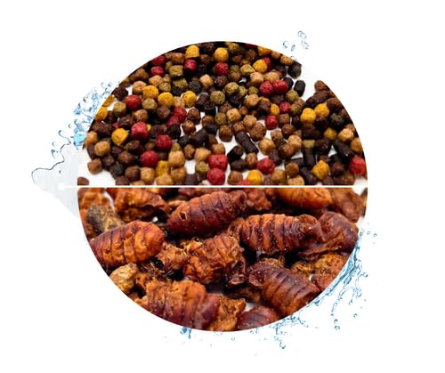Warnick's Koifutter 8-Sorten-Mix mit Spirulina - 15 L, 3 mm mit 1 L Seidenraupen - Fischfutter für Koi & Zierfrische - schwimmfähig & gut verdaulich Warnick's Koifutter 8-Sorten-Mix mit Spirulina - 15 L, 3 mm mit 1 L Seidenraupen - Fischfutter für Koi & Zierfrische - schwimmfähig & gut verdaulich von Warnick´s Tierfutterservice