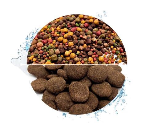 Warnick's Koifutter 8-Sorten-Mix mit Spirulina - 15 kg, 3-6 mm mit 1 kg Hanzam - Fischfutter für Koi & Zierfrische - schwimmfähig & gut verdaulich Warnick's Koifutter 8-Sorten-Mix mit Spirulina - 15 kg, 3-6 mm mit 1 kg Hanzam - Fischfutter für Koi & Zierfrische - schwimmfähig & gut verdaulich von Warnick´s Tierfutterservice