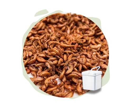 Warnick´s Tierfutterservice Naturhäppchen - Bachflohkrebse, Gammarus 1.000 ml - Naturfutter für Fische & Reptilien von Warnick´s Tierfutterservice