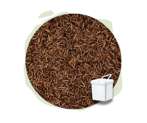 Warnick´s Tierfutterservice Naturhäppchen - Fliegenlarven getrocknet 5.000 ml im Eimer - für Geflügel, Vögel, Fische & Reptilien Warnick´s Tierfutterservice Naturhäppchen - Fliegenlarven getrocknet 5.000 ml im Eimer - für Geflügel, Vögel, Fische & Reptilien von Warnick´s Tierfutterservice