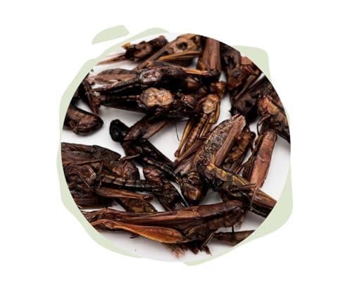 Warnicks Naturhäppchen, Grashüpfer getrocknet - 2000ml - Naturfutter für Koi, Reptilien und Vögel - proteinreich Warnicks Naturhäppchen, Grashüpfer getrocknet - 2000ml - Naturfutter für Koi, Reptilien und Vögel - proteinreich von Warnick´s Tierfutterservice