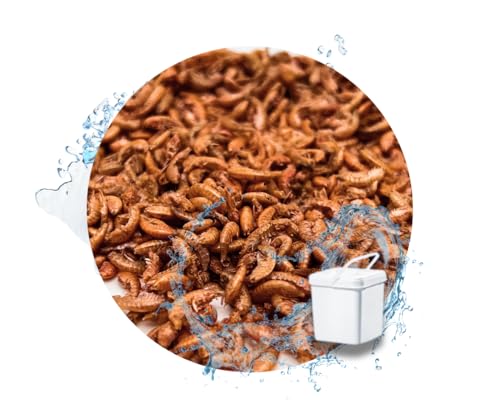 Warnick´s Tierfutterservice Gammarus - Bachflohkrebse, Koifutter, Reptilienfutter 5.000ml im praktischen Eimer Warnick´s Tierfutterservice Gammarus - Bachflohkrebse, Koifutter, Reptilienfutter 5.000ml im praktischen Eimer von Warnick´s Tierfutterservice