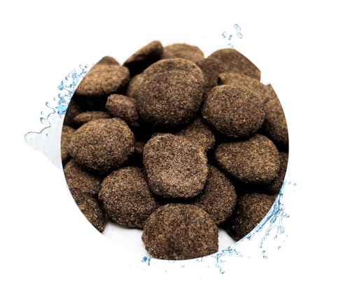 Hanzam - Koisnack - Koifutter (500g) von Warnick´s Tierfutterservice