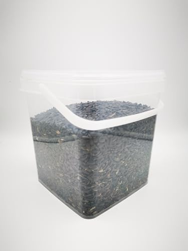 Sonnenblumenkerne schwarz 5-20 Liter HK Deutschland Vogelfutter Wildvogelfutter (5 Liter im Eimer) von Warnicks Tierfutterservice