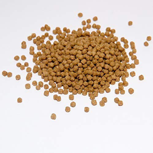 Warnick´s Tierfutterservice Koi Koifutter 10 kg * Wheatgerm * für Frühjahr & Herbst in 3mm von Warnick´s Tierfutterservice