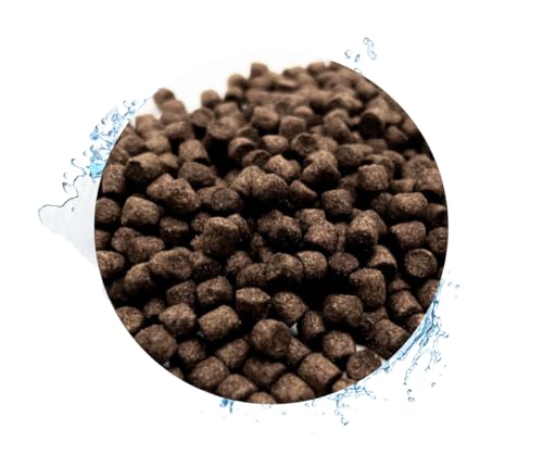 Warnick’s Tierfutterservice Koi Futter 15 Liter * Wheatgerm * für Frühjahr & Herbst in 6mm Pellets von Warnick´s Tierfutterservice