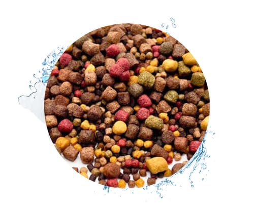 Warnick's Koifutter 5-Sorten-Mix mit Spirulina - 10 kg, 3-6 mm - Fischfutter für Koi & Zierfrische - schwimmfähig & gut verdaulich von Warnick´s Tierfutterservice