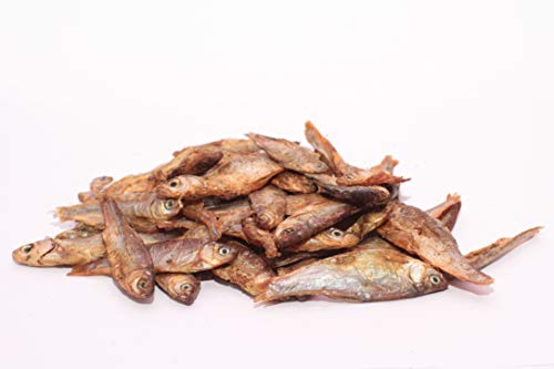 Wasserschildkrötenfutter ganze Fische von Warnick´s Tierfutterservice (1.000ml) von Warnicks Tierfutterservice