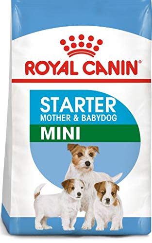Royal Canin Mini Starter 1 Kilo Mutter & Baby Hundefutter von Warwick Whelping Boxes