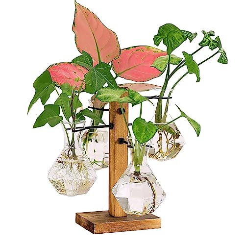 Pflanzenvermehrungsstationen Terrarium mit Holzständer Desktop Glasbirne Pflanzenvase für die Vermehrung von Hydrokulturpflanzen Haus Garten Büro Dekor (Stil 8) von Wasaiggon