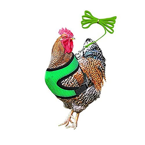 Washranp 1 Set Hühnergeschirr, Weste mit Leine, atmungsaktiv, verstellbar, Hühnerente, Geflügel für Hinterhof, Hühner, Ente, Gänse, Training, Grün, M von Washranp