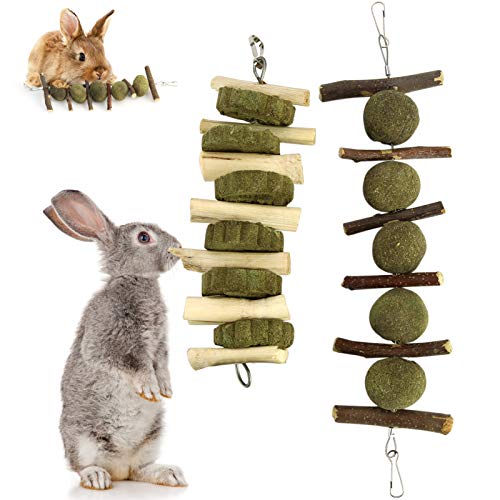 Washranp Kauspielzeug für Kaninchen, Chinchillas, Meerschweinchen, Hamster, verbessert die Zahngesundheit, 2 Stück von Washranp