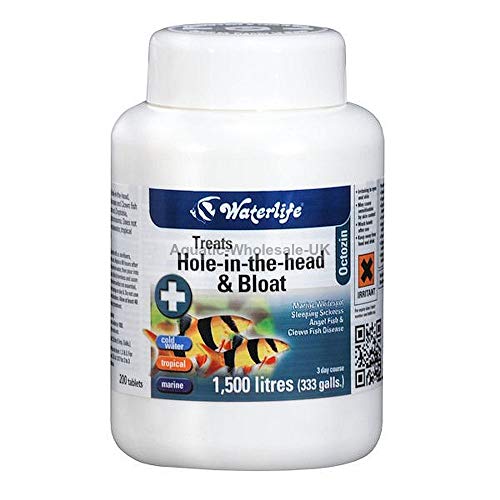 Waterlife Octozin Bulk Factor Pack 200 Tabletten Waterlife Octozin Bulk Factor Pack 200 Tabletten von Waterlife