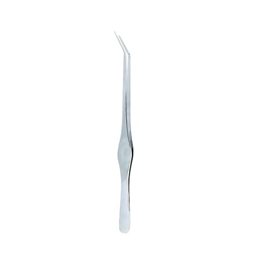 Watreketal 10/13/18 Zoll Aquarium Pinzetten Aus Edelstahl Aus Edelstahl Langkrümmte Gerade Pinzettenkinze Perfekt Für Fischtanksanlage Watreketal 10/13/18 Zoll Aquarium Pinzetten Aus Edelstahl Aus Edelstahl Langkrümmte Gerade Pinzettenkinze Perfekt Für Fischtanksanlage von Watreketal