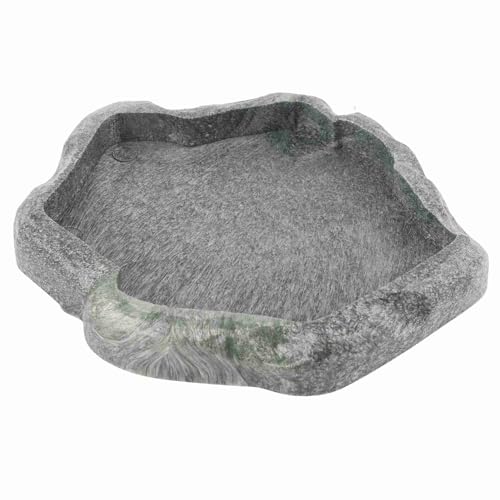 Watris Veiyi Schildkröten Zubehör, Wasserschale Garten, Harz Fütterschale, für Tortoise, Lizard, Reptilien, 14x12x1,6cm, Grün Watris Veiyi Schildkröten Zubehör, Wasserschale Garten, Harz Fütterschale, für Tortoise, Lizard, Reptilien, 14x12x1,6cm, Grün von Watris Veiyi