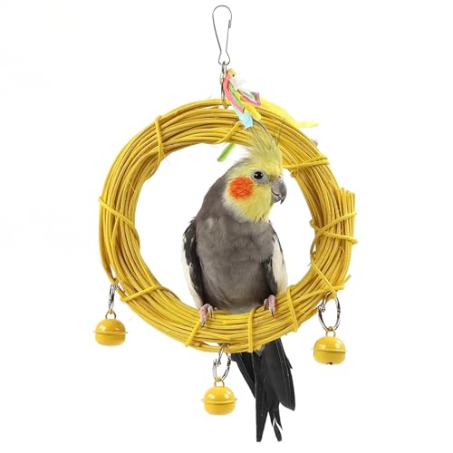 Runde Sitzstange für Vogel Spielzeug Wellensittich Unzertrennliche Schaukel Holz mit Glocke Runde Sitzstange für Vogel Spielzeug Wellensittich Unzertrennliche Schaukel Holz mit Glocke von Watwass