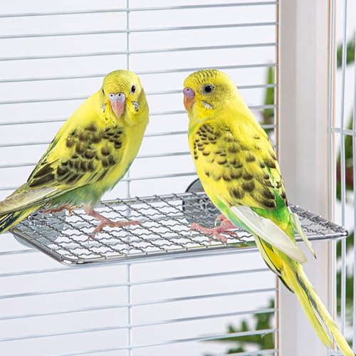 Sitzbrett für Vögel Metall Sitzstangen für Vogelkäfige Papagei Kanarienvogel Rabe Kanarienvogel Sitzbrett für Vögel Metall Sitzstangen für Vogelkäfige Papagei Kanarienvogel Rabe Kanarienvogel von Watwass