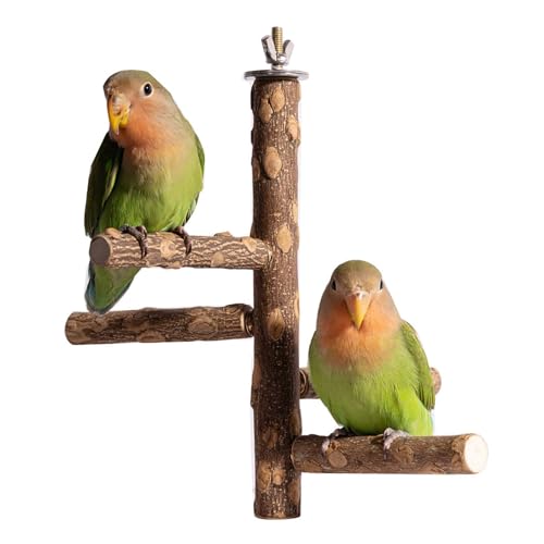 Sitzstangen Naturholz für Kanarienvogel Papagei Kletterstange Holz Zubehör für Vogelkäfige Sitzstangen Naturholz für Kanarienvogel Papagei Kletterstange Holz Zubehör für Vogelkäfige von Watwass