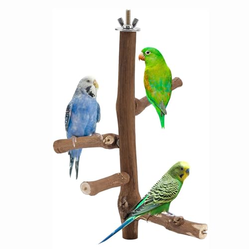 Sitzstangen Naturholz für Kanarienvogel Papagei Kletterstange Holz Zubehör für Vogelkäfige Sitzstangen Naturholz für Kanarienvogel Papagei Kletterstange Holz Zubehör für Vogelkäfige von Watwass