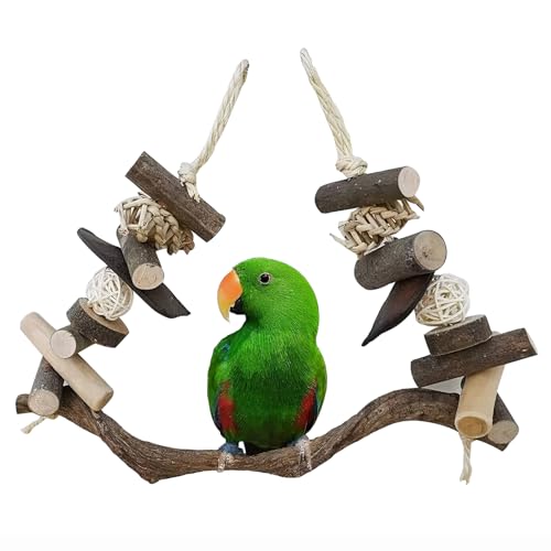 Sitzstangen für Wellensittiche Kauspielzeug Natur Attraktiv Vogelschaukel Holz Schwingen und Springen Sitzstangen für Wellensittiche Kauspielzeug Natur Attraktiv Vogelschaukel Holz Schwingen und Springen von Watwass