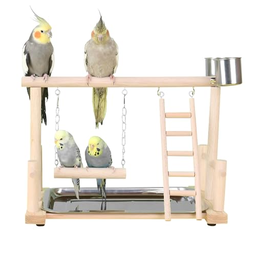 Vogel Spielplatz für Wellensittiche Unzertrennliche Spielständer mit Landeplatz Schaukeln Holzleiter Vogel Spielplatz für Wellensittiche Unzertrennliche Spielständer mit Landeplatz Schaukeln Holzleiter von Watwass