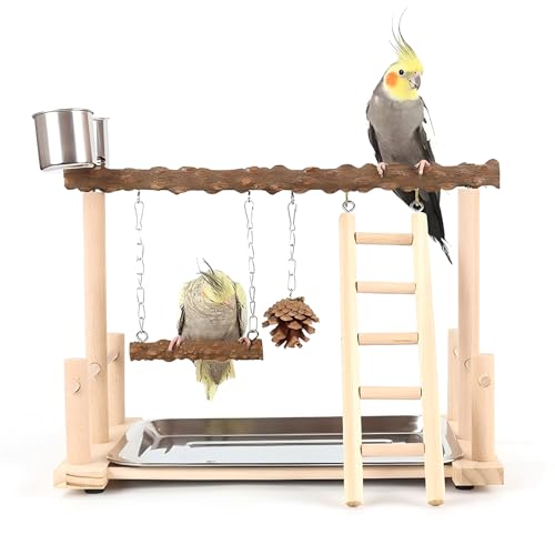 Vogel Spielplatz für Wellensittiche Unzertrennliche Spielständer mit Landeplatz Schaukeln Holzleiter Vogel Spielplatz für Wellensittiche Unzertrennliche Spielständer mit Landeplatz Schaukeln Holzleiter von Watwass