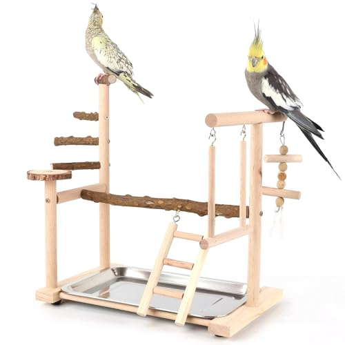 Vogel Spielständer Holz für Kanarien Papagei Spielplatz Natur mit Tablett aus Edelstahl Vogel Spielständer Holz für Kanarien Papagei Spielplatz Natur mit Tablett aus Edelstahl von Watwass