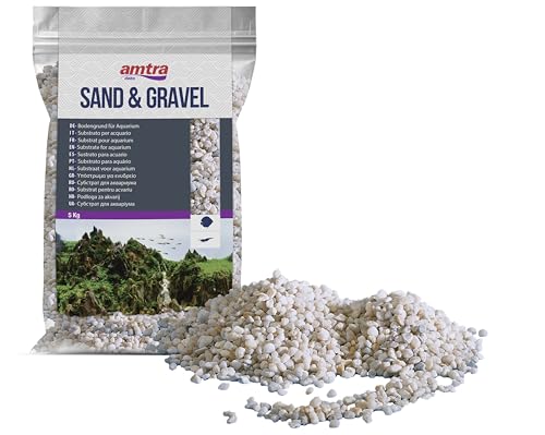 Amtra Ghiaia Noa - Natürlicher Aquarienkies, dekorativer Boden, grobkörnige weiße Körner Größe 2-5 mm, Größe 5 kg von Amtra