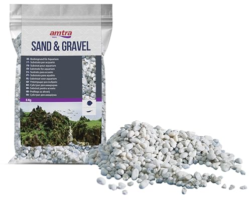 Amtra Croci AMTRA Gravel NOA - Natürlicher Aquarienkies, dekorativer Boden, weiße grobe Körnung 4-8 mm, 5kg-Format Amtra Croci AMTRA Gravel NOA - Natürlicher Aquarienkies, dekorativer Boden, weiße grobe Körnung 4-8 mm, 5kg-Format von Amtra