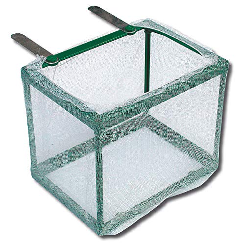 Wave A6008053 Netzaufzuchtkasten, 16 x 12.5 x 13.5 cm von Wave