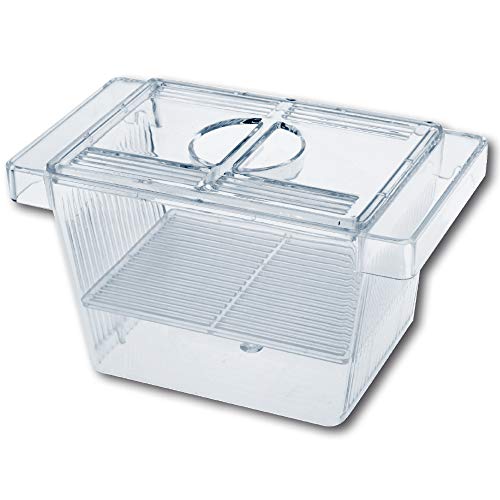 Wave Amtra Laichraum - 3 in 1 Aquarienfischzuchtbecken mit Deckel, schwimmend, transparent, 12 x 6 x 6 cm von Amtra