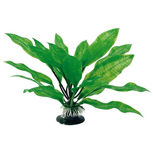 Wave A8011173 Plant Classic Echinodo, Größe: L, 27 cm von Amtra