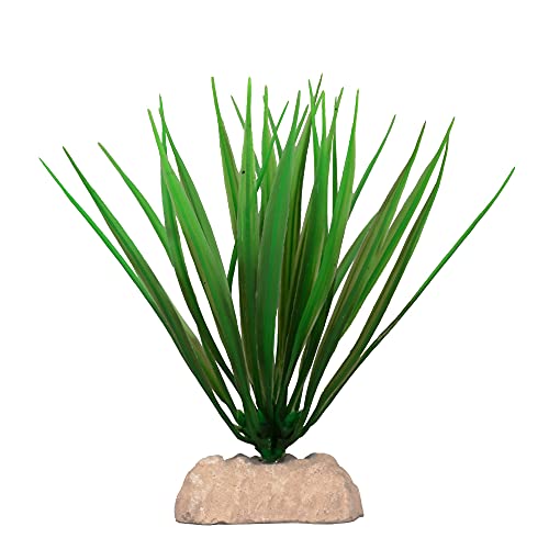 Wave A8011177 Plant Classic Bamboo, Größe : S, 12 cm von Amtra