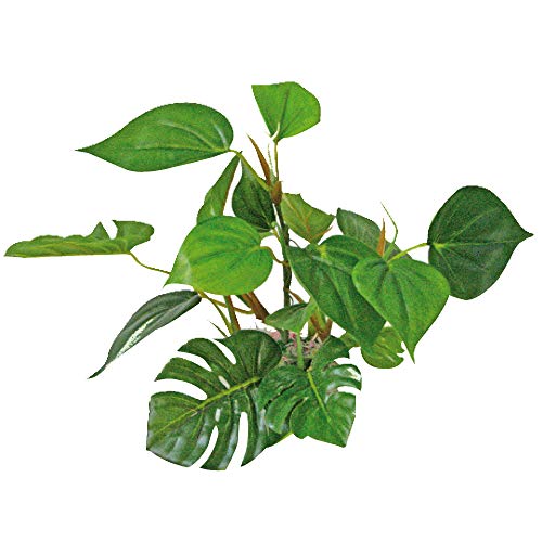 Wave A8011401 Plant Replica Anubi, 20 cm von Amtra