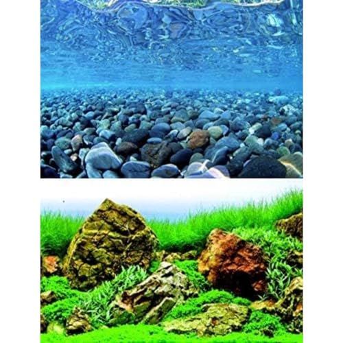 Wave A8011574 Fotorück Vision, Doppelseitig im Blister, 60 x 150 cm Wave A8011574 Fotorück Vision, Doppelseitig im Blister, 60 x 150 cm von Amtra